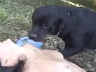 Big boobies babe bouncing on a dog's unforgettable cock