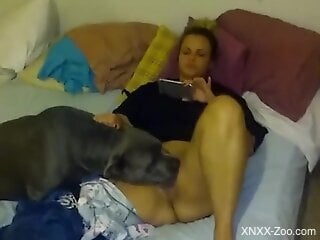 Lazy chick getting licked by a dog in a hot video