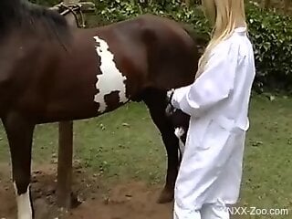 Sexy veterinarian fucking a big-dicked stallion
