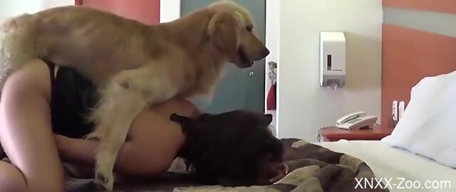 Her trimmed cooch gets stretched beyond belief