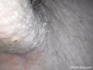 Sexy animal hole getting fucked in a free online vid