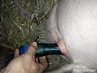 Dude enjoys fucking a pig's pretty pussy right here