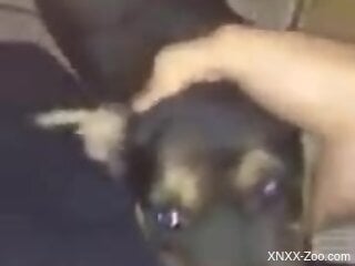 Throat-fucking session featuring an obedient doggo