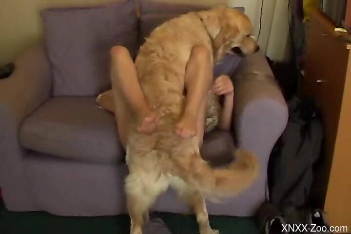 Dog fucks woman in gorgeous missionary at home