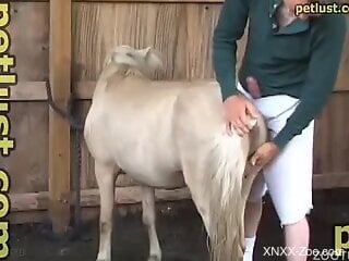 Dude fucks a mare's pussy from behind and makes it cum
