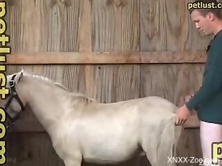 Strangely seductive stud fucking all the horses