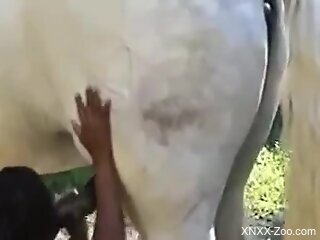 Fine woman lands horse cock in her cunt for surreal cam scenes