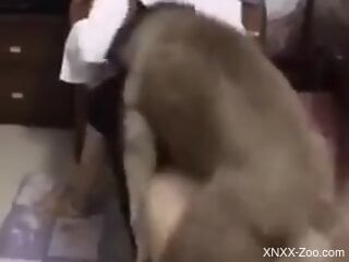 Dog fucks nude woman in the ass and comes on her fine forms