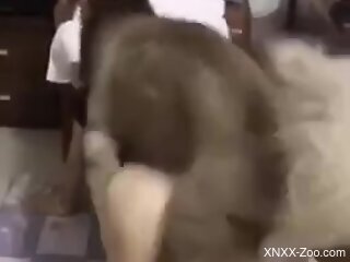 Dog fucks nude woman in the ass and comes on her fine forms