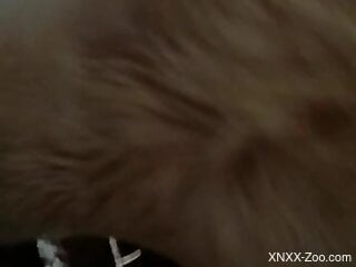 Horny man inserts cock in a furry animal pussy for brutal sex