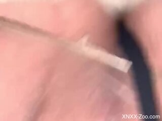 Insolent man with big cock gets anal drilled by a small dog