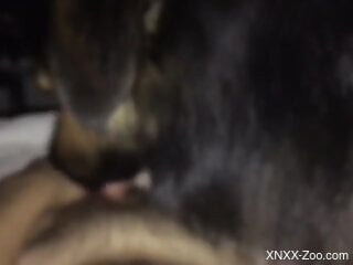 Naked male lets the dog lick his cock in extra sloppy modes