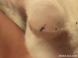 Horny female lets curious cat lick both her sexy holes