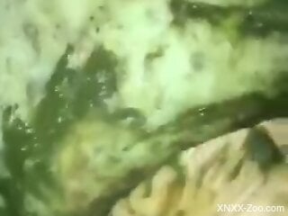Breathtaking XXX zoo porn featuring wild bestiality