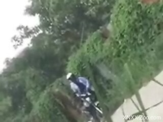 Check out the kinky zoo porn taking place outdoors