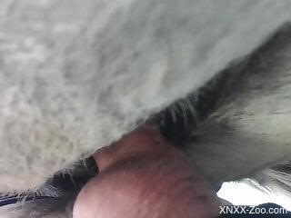 Close-up view at rough bestiality session outdoors