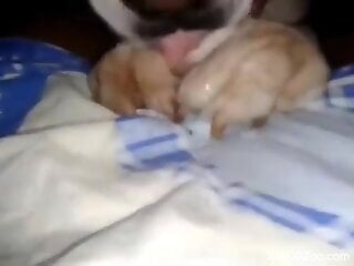 Aroused doggie is in love with homemade oral zoo sex