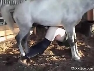 Zoophile gets annihilated by a white stallion