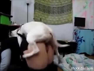 Booty girl enjoys dog cock in her shaved cunt