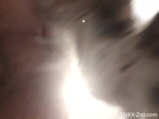 Furry dog is fucking tight ass in zoo porn