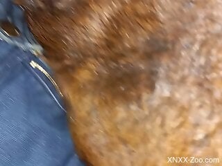 Naked man deep fucks furry animal while he records himself