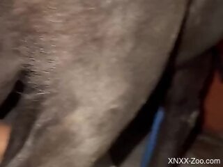 Naked man combines nude anal sex with dog zoophilia