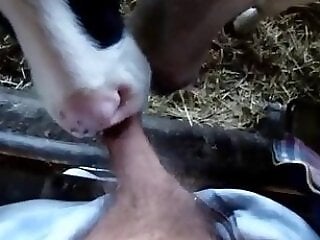 Friendly site 67
