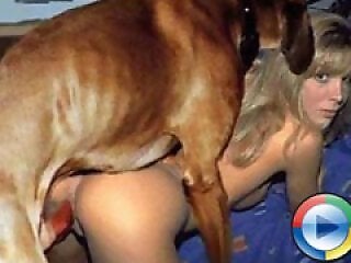 Zoophilia porn and animal sex