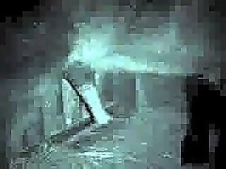 Animal Sex Porn Tube