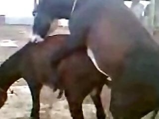 Friendly site 13