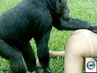 Friendly site 10